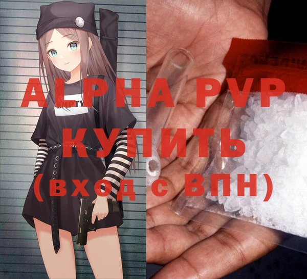 стафф Вяземский