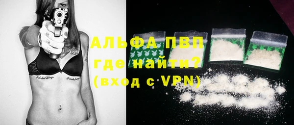 стафф Вяземский