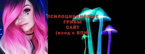 стафф Вяземский