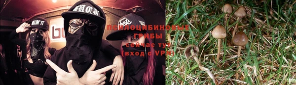 jwh Вязьма