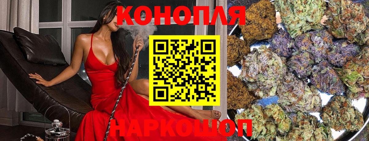 Бошки марихуана семена  Канабис OG Kush  Каннабис OG Kush  Железногорск  Вход с VPN 